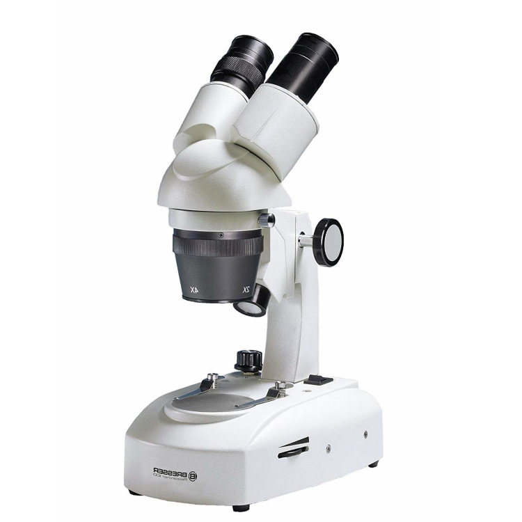 Microscopio estereoscopico