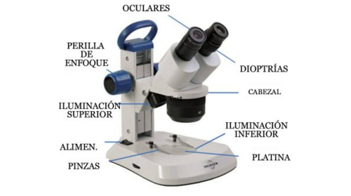 microscopio partes